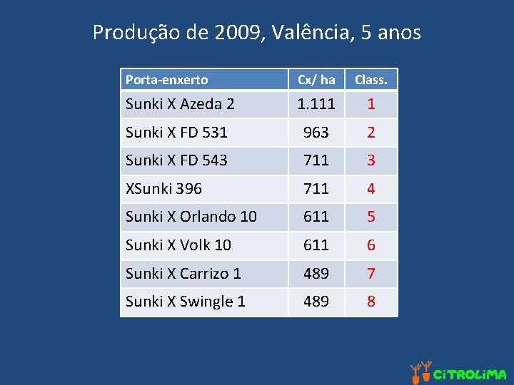 Produção de 2009, Valência, 5 anos Porta-enxerto Cx/ ha Class. Sunki X Azeda 2