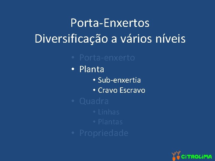 Porta-Enxertos Diversificação a vários níveis • Porta-enxerto • Planta • Sub-enxertia • Cravo Escravo
