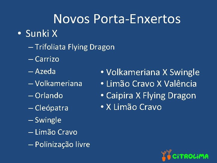 Novos Porta-Enxertos • Sunki X – Trifoliata Flying Dragon – Carrizo – Azeda •
