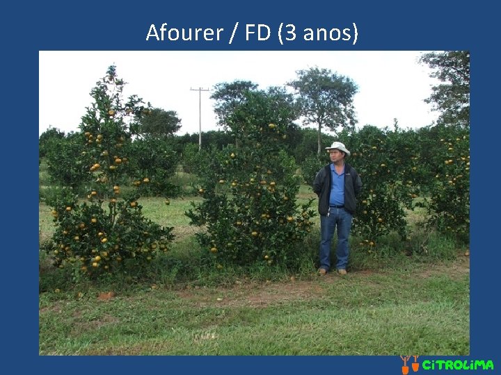 Afourer / FD (3 anos) 