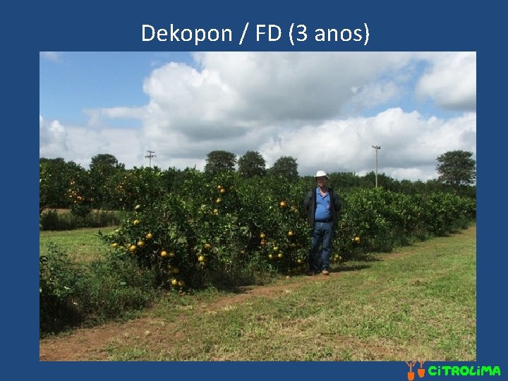 Dekopon / FD (3 anos) 