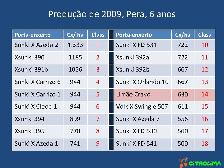 Produção de 2009, Pera, 6 anos Porta-enxerto Cx/ ha Class Sunki X Azeda 2