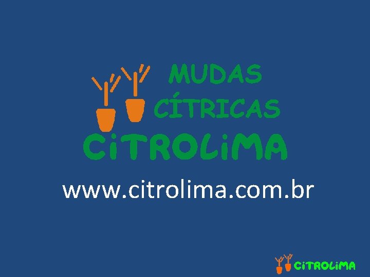 www. citrolima. com. br 