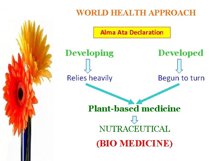 WORLD HEALTH APPROACH Alma Ata Declaration Developing Developed Relies heavily Begun to turn Plant-based