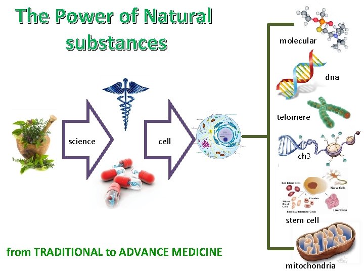 The Power of Natural substances molecular dna telomere science cell ch 3 stem cell