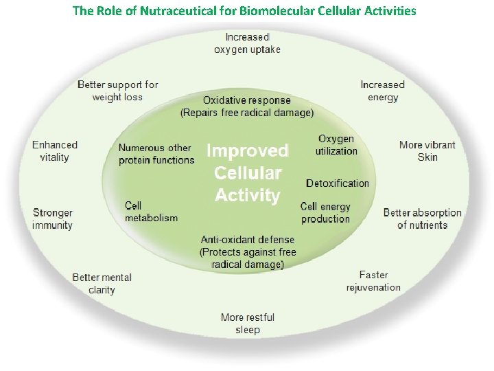 The Role of Nutraceutical for Biomolecular Cellular Activities 