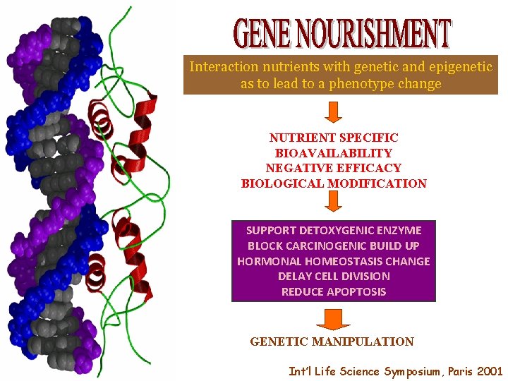 Interaction nutrients with genetic and epigenetic as to lead to a phenotype change NUTRIENT