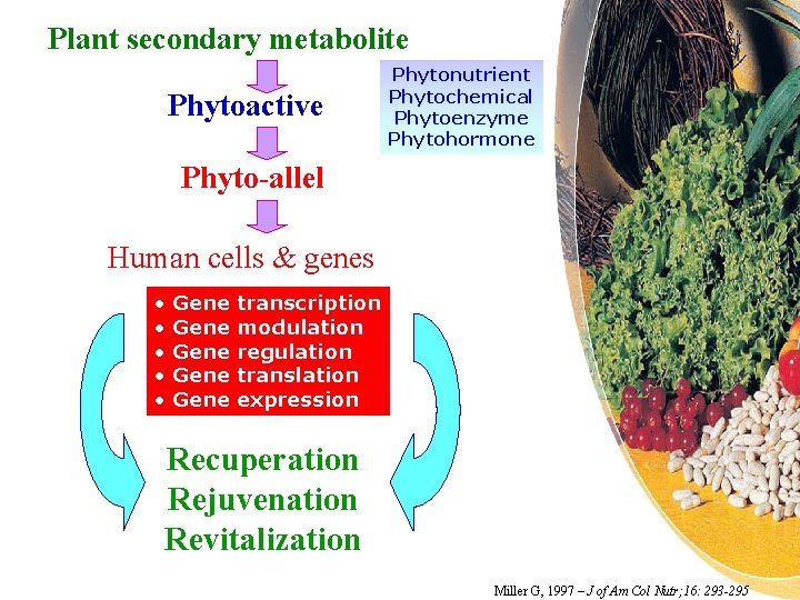 Plant secondary metabolite Phytoactive Phytonutrient Phytochemical Phytoenzyme Phytohormone Phyto-allel Human cells & genes •