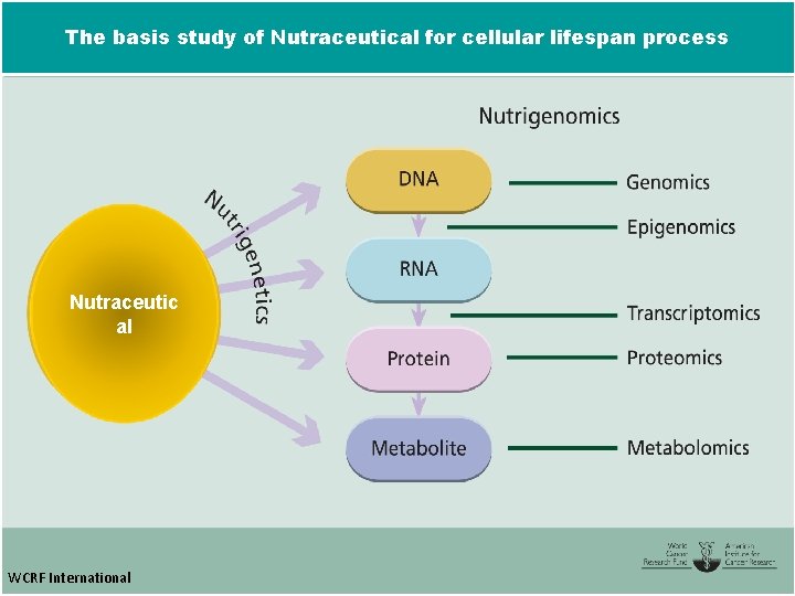 The basis study of Nutraceutical for cellular lifespan process Nutraceutic al WCRF International 