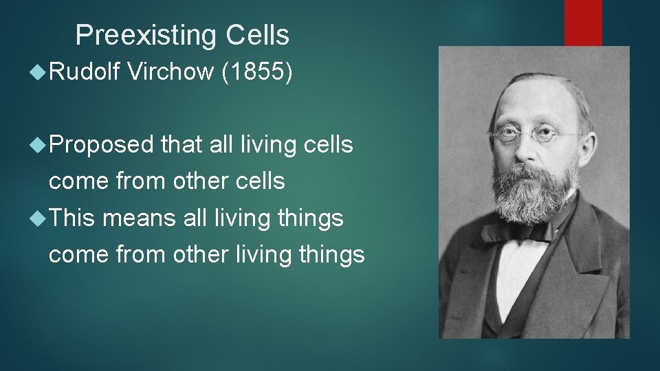 Preexisting Cells Rudolf Virchow (1855) Proposed that all living cells come from other cells