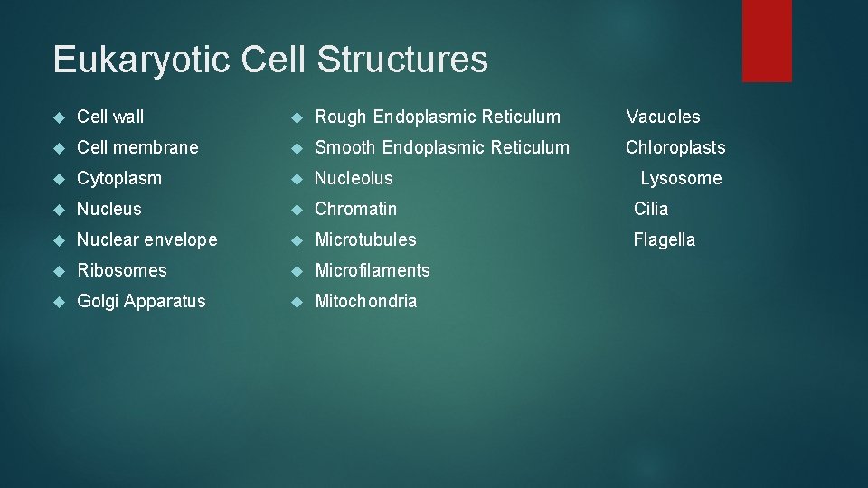 Eukaryotic Cell Structures Cell wall Rough Endoplasmic Reticulum Vacuoles Cell membrane Smooth Endoplasmic Reticulum