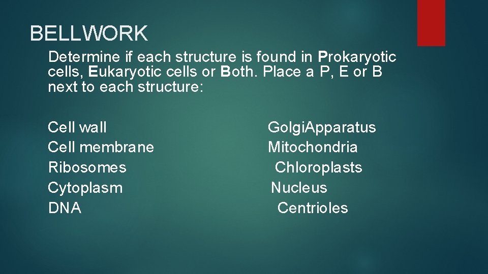 BELLWORK Determine if each structure is found in Prokaryotic cells, Eukaryotic cells or Both.