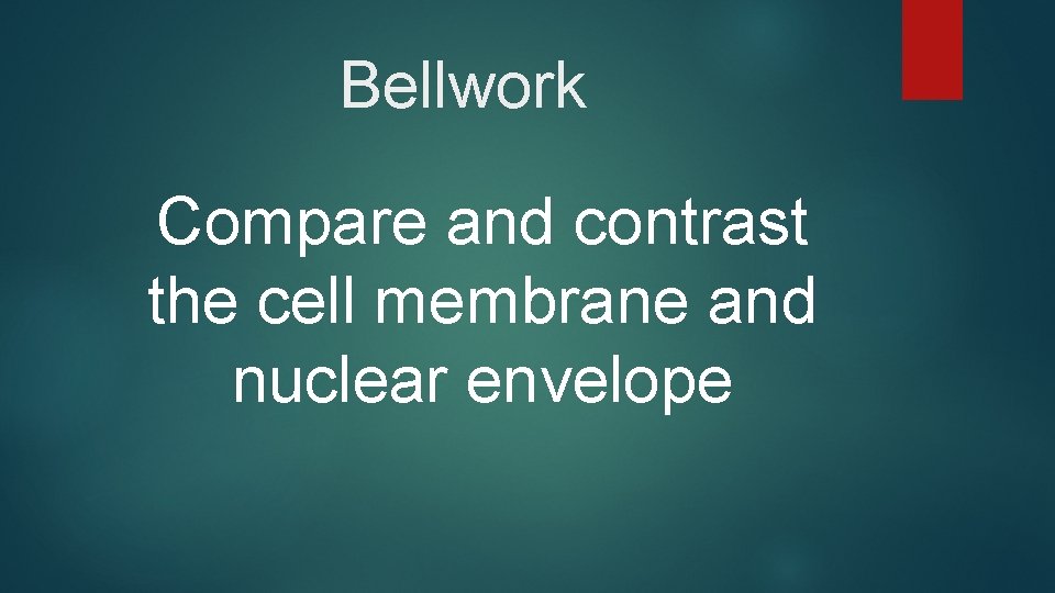 Bellwork Compare and contrast the cell membrane and nuclear envelope 