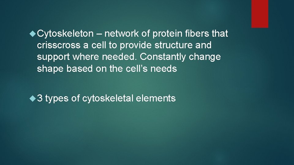  Cytoskeleton – network of protein fibers that crisscross a cell to provide structure