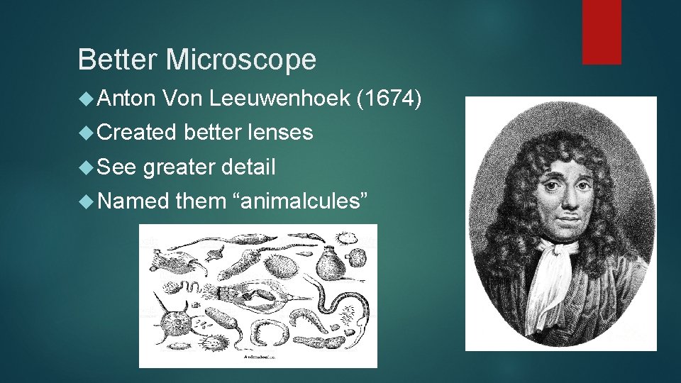 Better Microscope Anton Von Leeuwenhoek (1674) Created See better lenses greater detail Named them