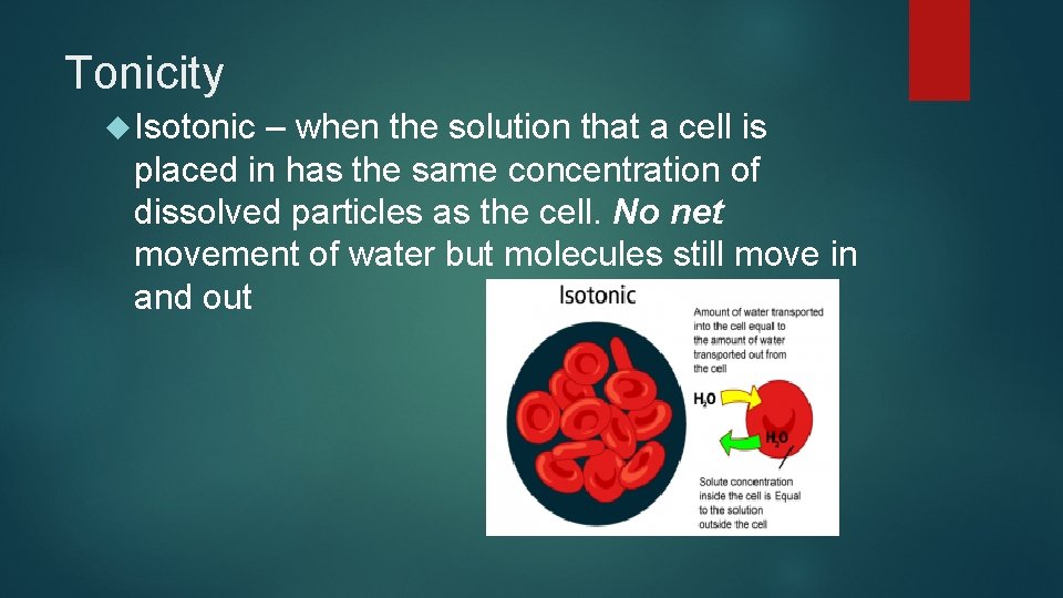 Tonicity Isotonic – when the solution that a cell is placed in has the