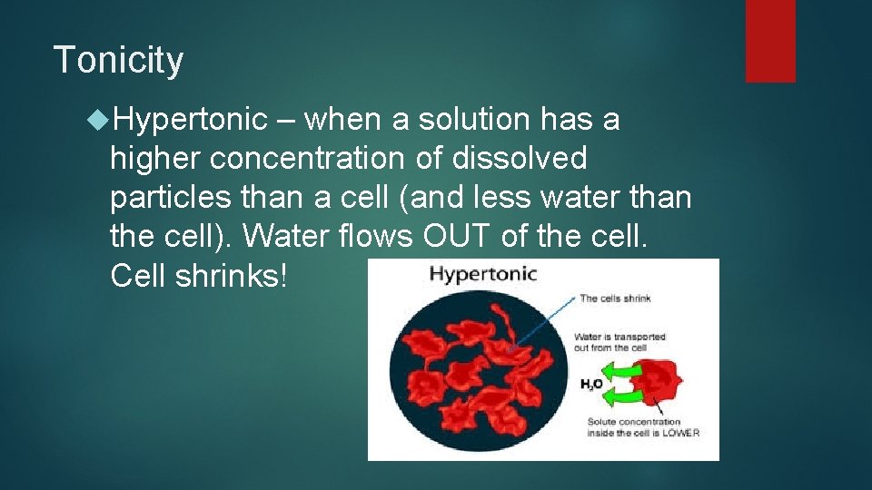 Tonicity Hypertonic – when a solution has a higher concentration of dissolved particles than