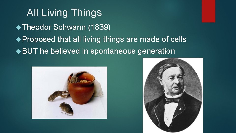 All Living Things Theodor Schwann (1839) Proposed BUT that all living things are made