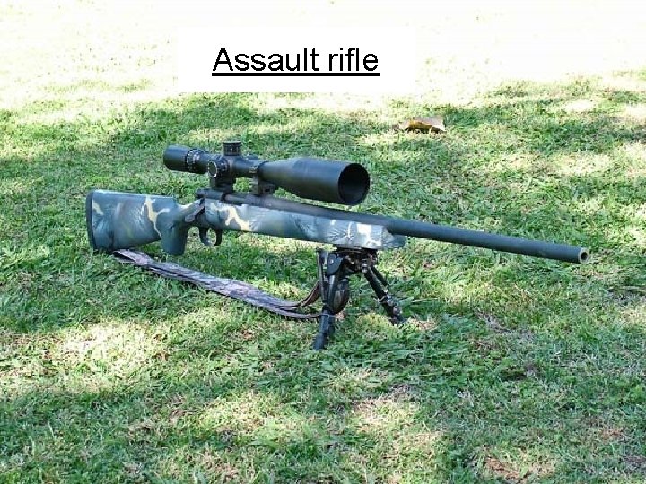 Assault rifle 