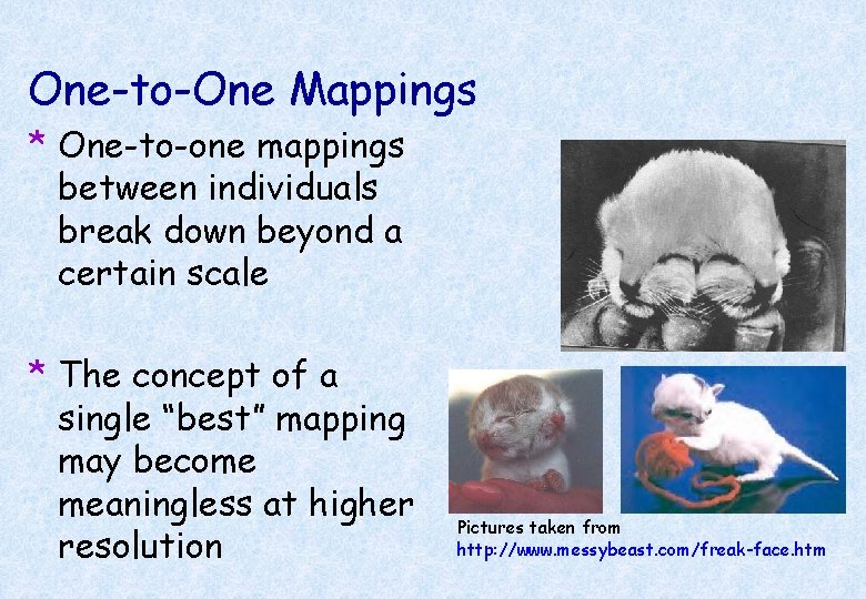 One-to-One Mappings * One-to-one mappings between individuals break down beyond a certain scale *