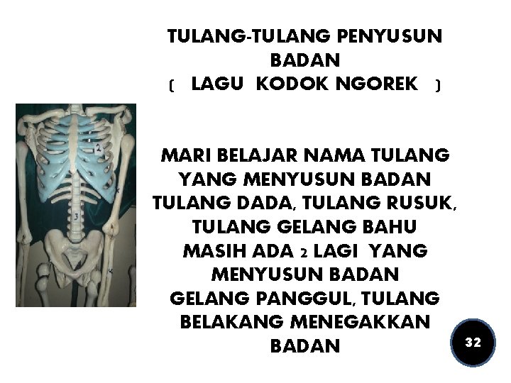 TULANG-TULANG PENYUSUN BADAN ( LAGU KODOK NGOREK ) MARI BELAJAR NAMA TULANG YANG MENYUSUN