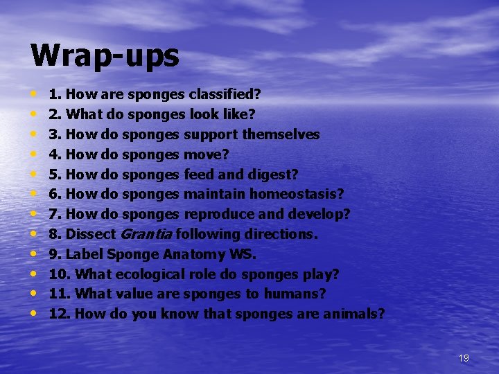 Wrap-ups • • • 1. How are sponges classified? 2. What do sponges look