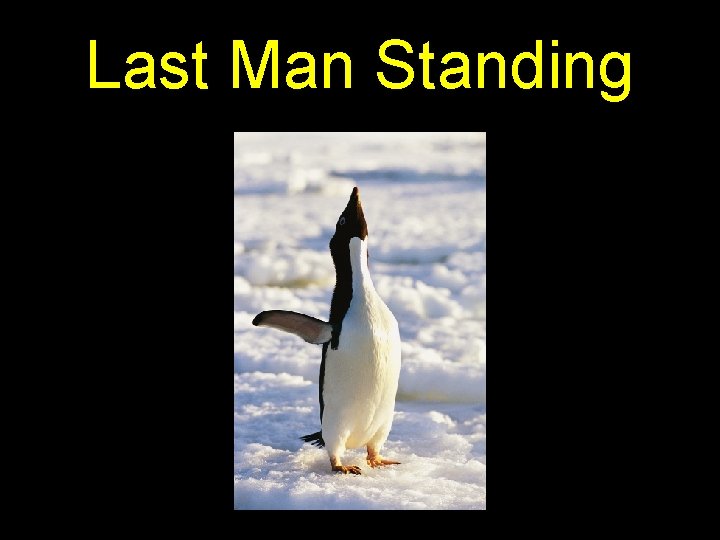 Last Man Standing 
