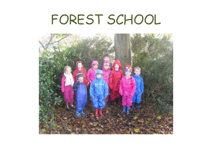 FOREST SCHOOL 