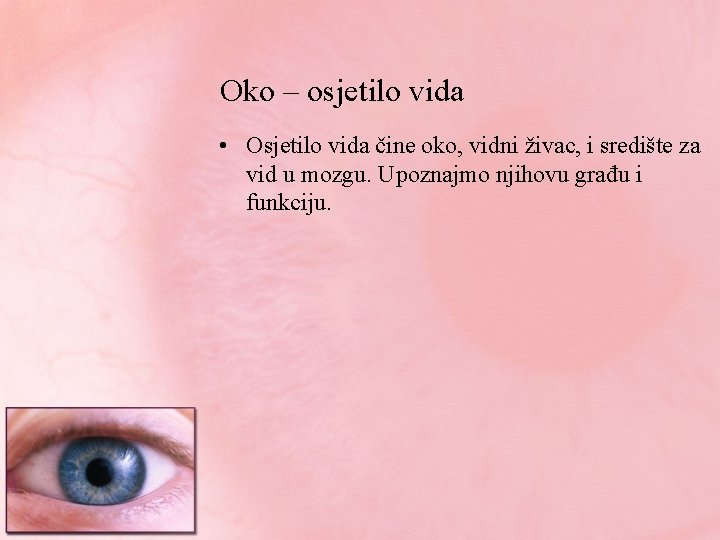 Oko – osjetilo vida • Osjetilo vida čine oko, vidni živac, i središte za