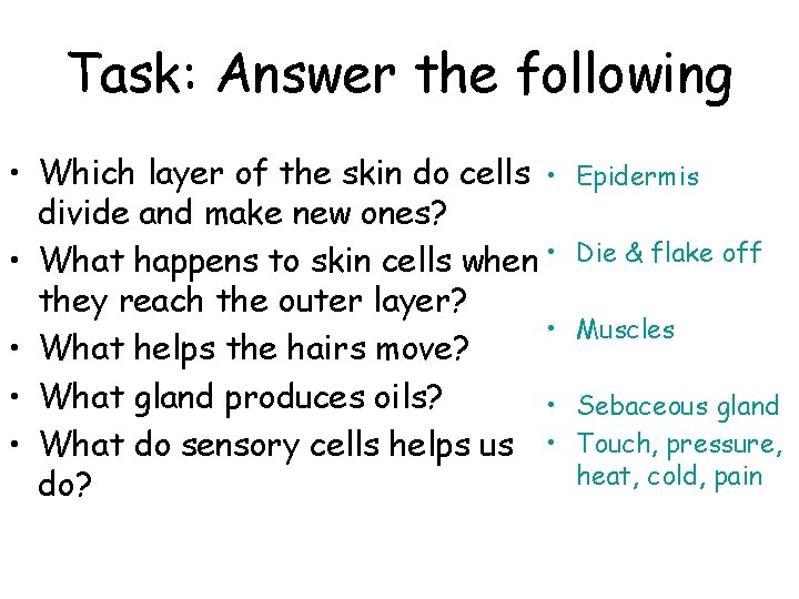 Task: Answer the following • Which layer of the skin do cells • divide