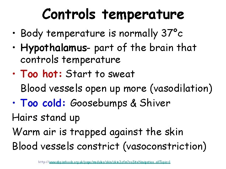 Controls temperature • Body temperature is normally 37°c • Hypothalamus- part of the brain