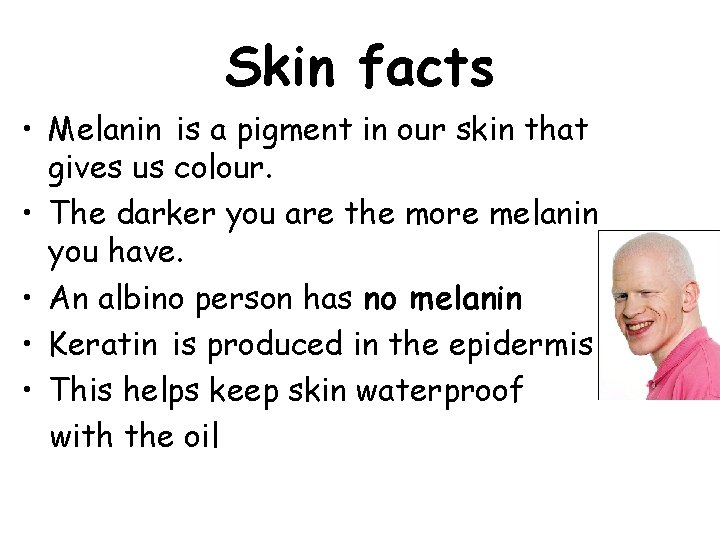 Skin facts • Melanin is a pigment in our skin that gives us colour.