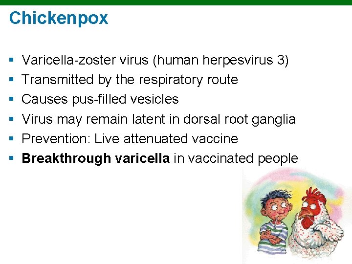 Chickenpox § § § Varicella-zoster virus (human herpesvirus 3) Transmitted by the respiratory route