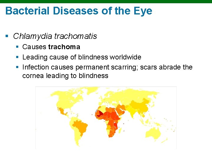 Bacterial Diseases of the Eye § Chlamydia trachomatis § Causes trachoma § Leading cause