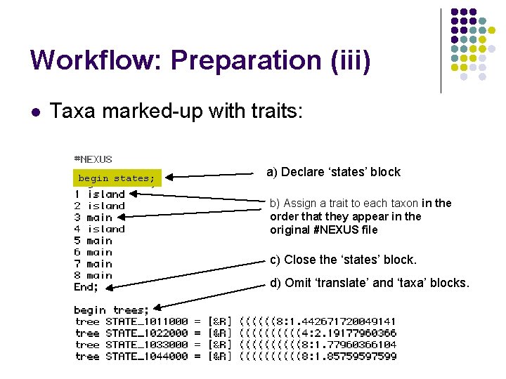 Workflow: Preparation (iii) l Taxa marked-up with traits: begin states; a) Declare ‘states’ block