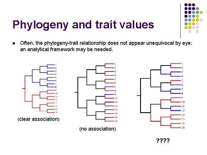 Phylogeny and trait values l Often, the phylogeny-trait relationship does not appear unequivocal by