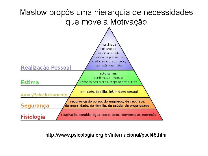 Maslow propôs uma hierarquia de necessidades que move a Motivação http: //www. psicologia. org.