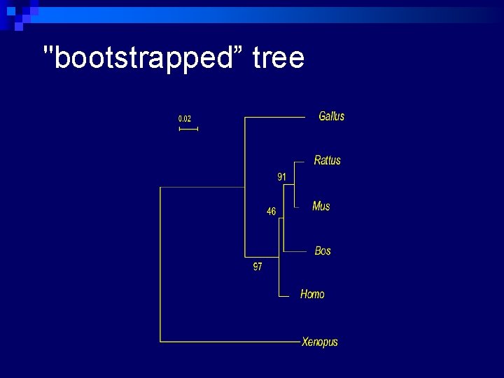 "bootstrapped” tree 