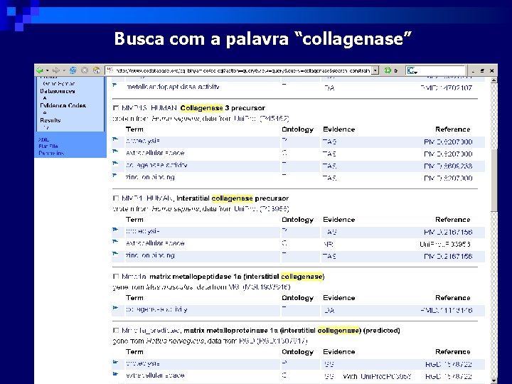 Busca com a palavra “collagenase” 