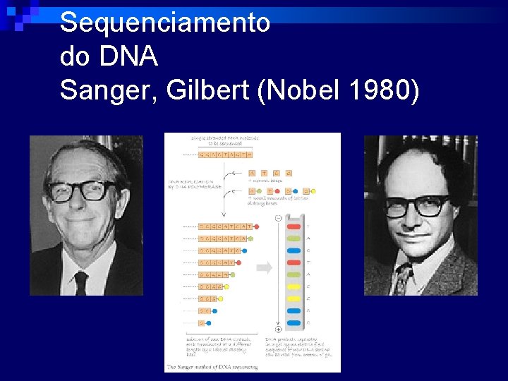 Sequenciamento do DNA Sanger, Gilbert (Nobel 1980) 