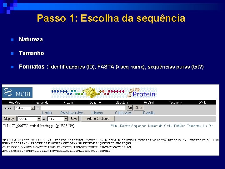 Passo 1: Escolha da sequência n Natureza n Tamanho n Formatos : Identificadores (ID),