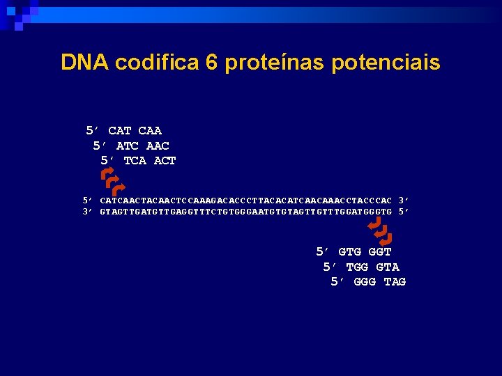 DNA codifica 6 proteínas potenciais 5’ CAT CAA 5’ ATC AAC 5’ TCA ACT