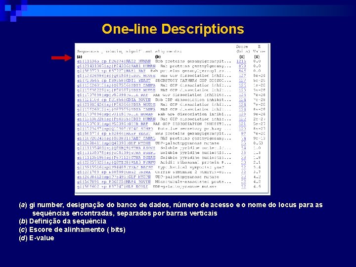 One-line Descriptions (a) gi number, designação do banco de dados, número de acesso e