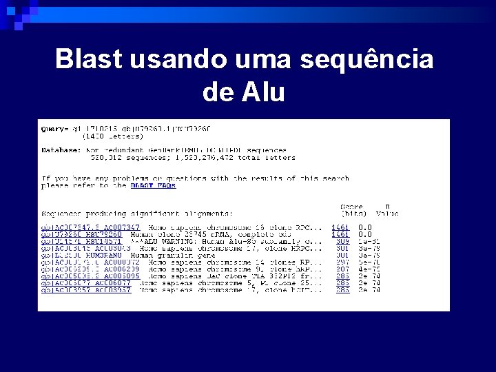 Blast usando uma sequência de Alu 