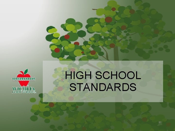 HIGH SCHOOL STANDARDS 37 