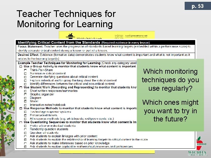 Teacher Techniques for Monitoring for Learning p. 53 Which monitoring techniques do you use