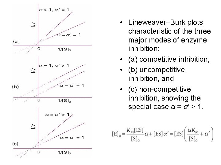 Mechanisms of enzyme inhibition Competitive inhibition the inhibitor