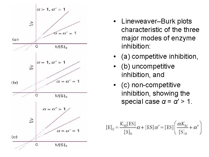  • Lineweaver–Burk plots characteristic of the three major modes of enzyme inhibition: •