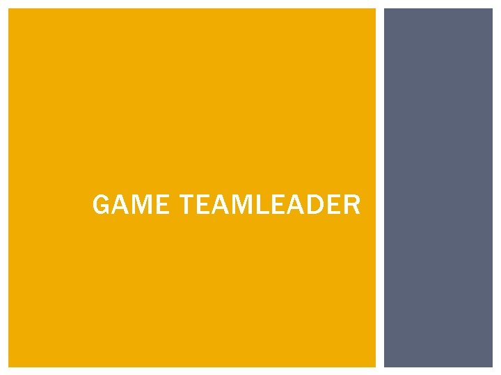 GAME TEAMLEADER 