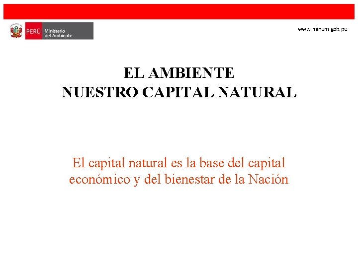 www. minam. gob. pe EL AMBIENTE NUESTRO CAPITAL NATURAL El capital natural es la